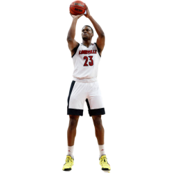 Player render