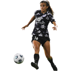 player render