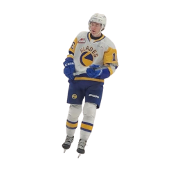 Player render