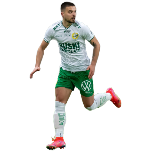 Vladimir Rodic profile image
