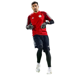 player render