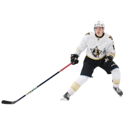 player render