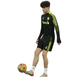 player render