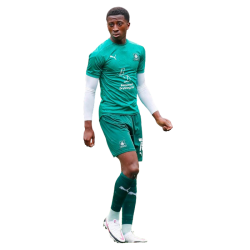 player render