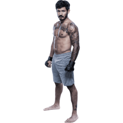 Player render