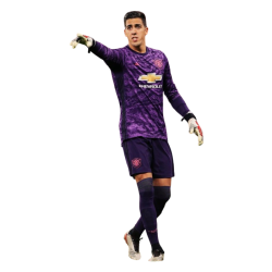 player render