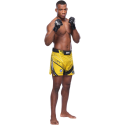 player render