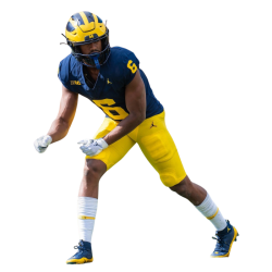 player render