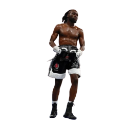 Player render