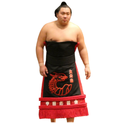 player render