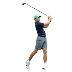 Player render
