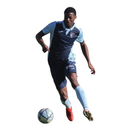 player render