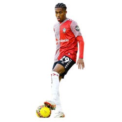 Player render