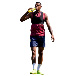 player render