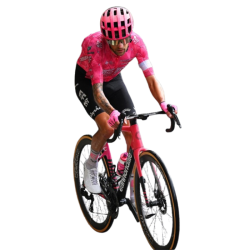 player render