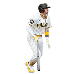 player render
