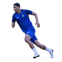 Player render