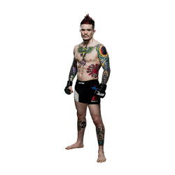 Player render