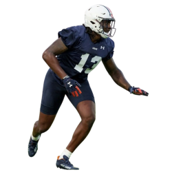 player render