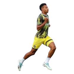 Player render
