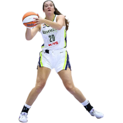 player render