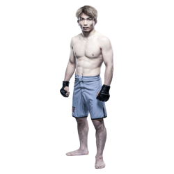 Player render
