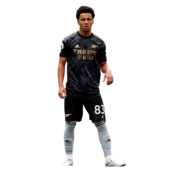 player render