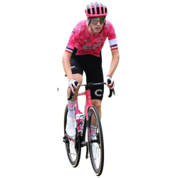player render