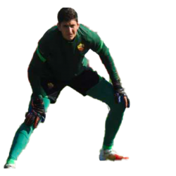 player render