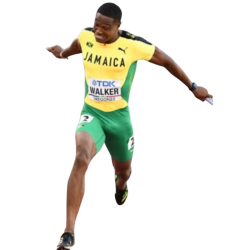 Player render