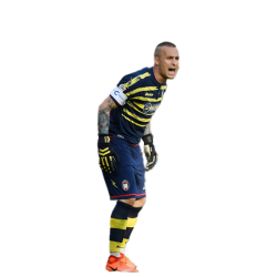 Player render