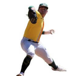 player render