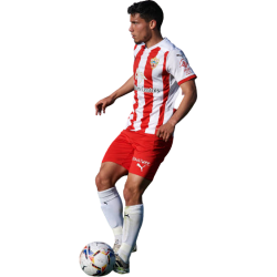 player render