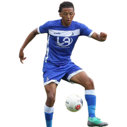 player render