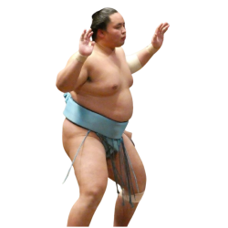 player render