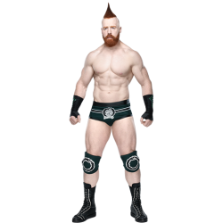 Player render