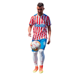 Player render