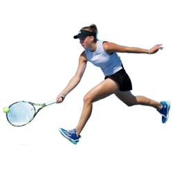 Player render