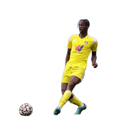 player render