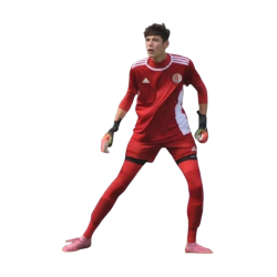 Player render