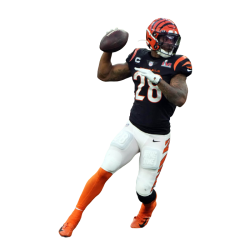 player render