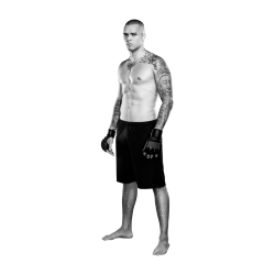 Player render