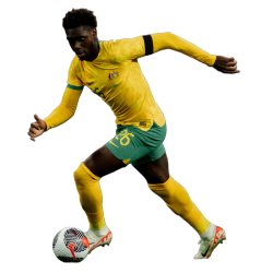 player render