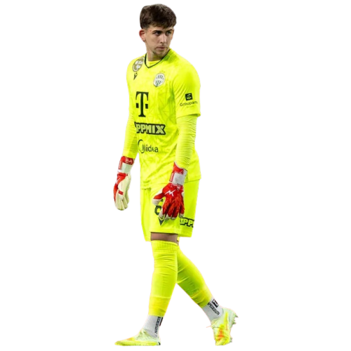 Dániel Radnóti profile image