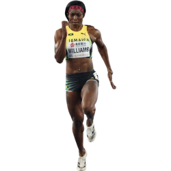 Player render