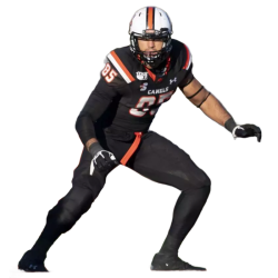 player render