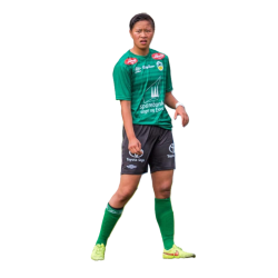 player render