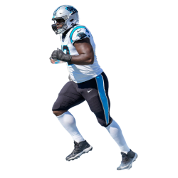 Player render
