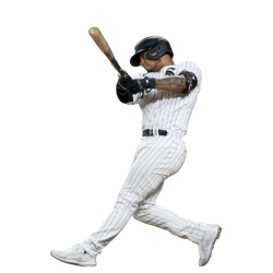 player render