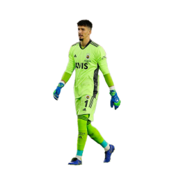 Player render